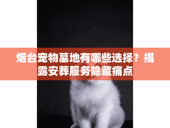 烟台宠物墓地有哪些选择?揭露安葬服务隐藏痛点 烟台宠物墓地有哪些选择?揭露安葬服务隐藏痛点