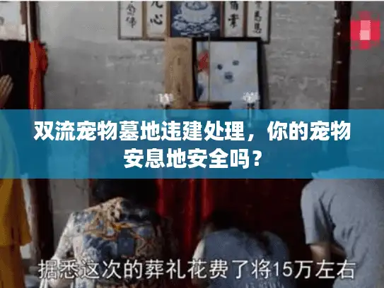 双流宠物墓地违建处理，你的宠物安息地安全吗？