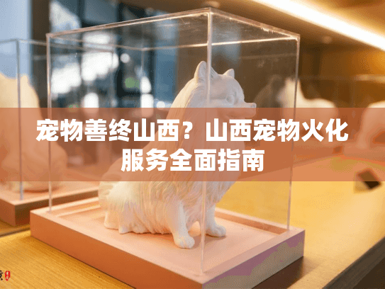 宠物善终山西？山西宠物火化服务全面指南