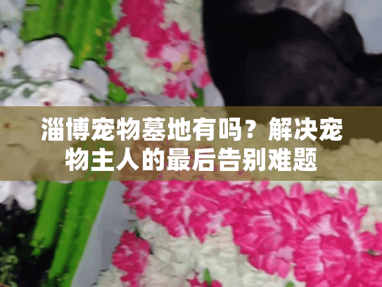 淄博宠物墓地有吗？解决宠物主人的最后告别难题