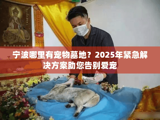 宁波哪里有宠物墓地？2025年紧急解决方案助您告别爱宠