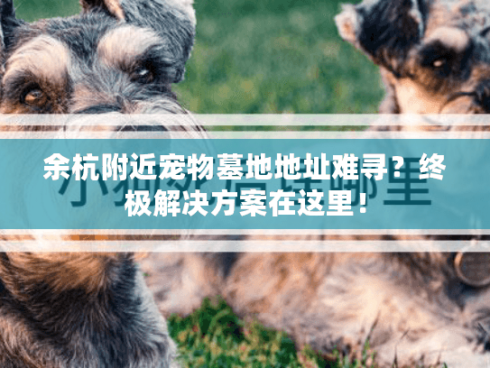 余杭附近宠物墓地地址难寻？终极解决方案在这里！