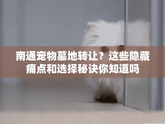 南通宠物墓地转让？这些隐藏痛点和选择秘诀你知道吗