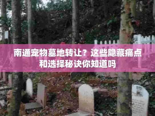 南通宠物墓地转让？这些隐藏痛点和选择秘诀你知道吗