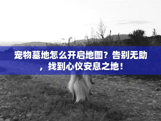 宠物墓地怎么开启地图？告别无助，找到心仪安息之地！