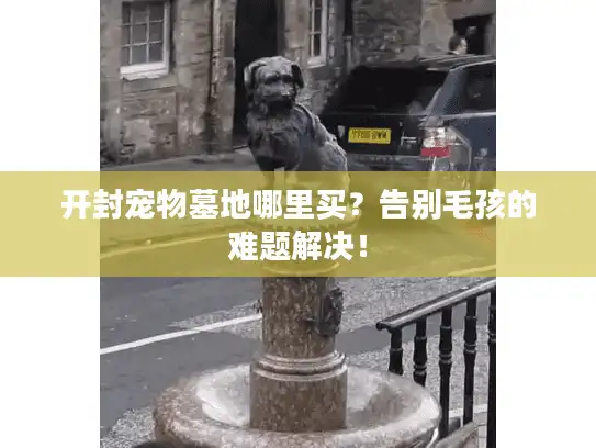 开封宠物墓地哪里买？告别毛孩的难题解决！