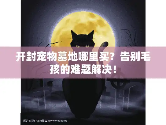 开封宠物墓地哪里买？告别毛孩的难题解决！