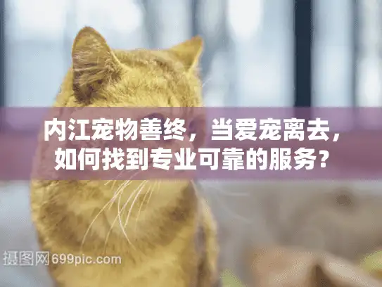 内江宠物善终,当爱宠离去,如何找到专业可靠的服务? 内江宠物善终,当爱宠离去,如何找到专业可靠的服务?
