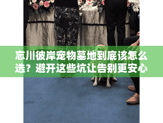 忘川彼岸宠物墓地到底该怎么选？避开这些坑让告别更安心