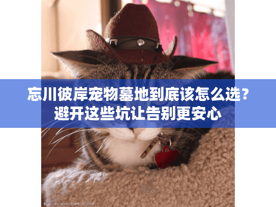 忘川彼岸宠物墓地到底该怎么选？避开这些坑让告别更安心