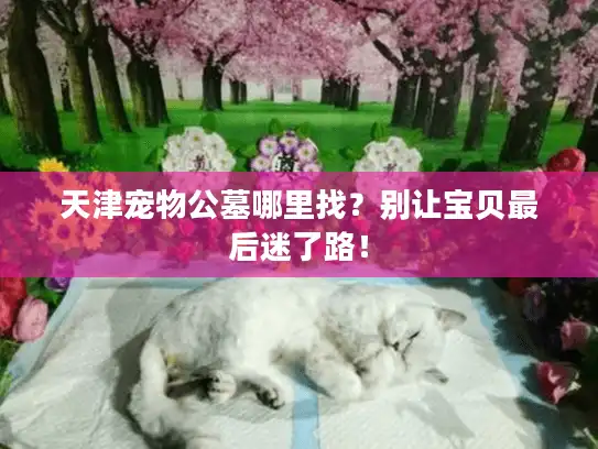 天津宠物公墓哪里找？别让宝贝最后迷了路！