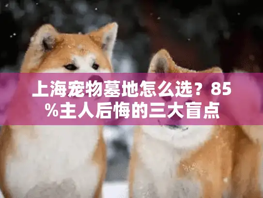 上海宠物墓地怎么选？85%主人后悔的三大盲点
