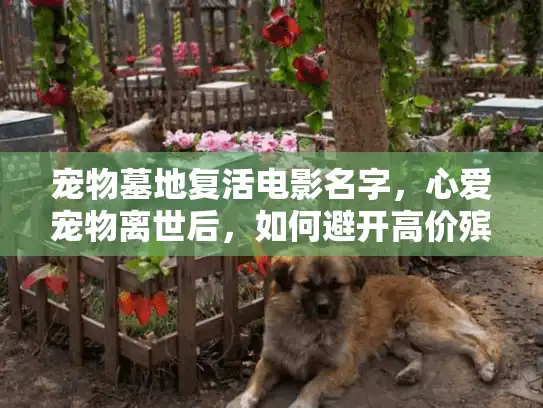 宠物墓地复活电影名字，心爱宠物离世后，如何避开高价殡葬陷阱？