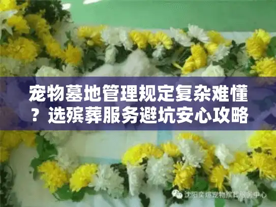 宠物墓地管理规定复杂难懂？选殡葬服务避坑安心攻略