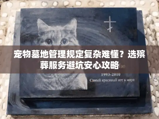 宠物墓地管理规定复杂难懂？选殡葬服务避坑安心攻略