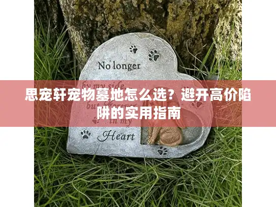 思宠轩宠物墓地怎么选？避开高价陷阱的实用指南