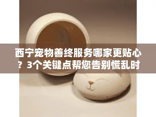 西宁宠物善终服务哪家更贴心？3个关键点帮您告别慌乱时刻