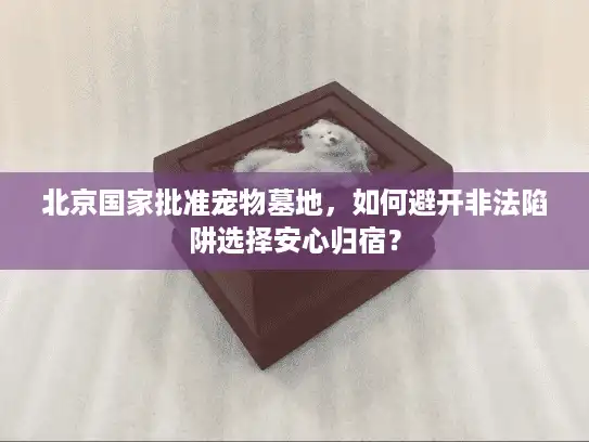 北京国家批准宠物墓地，如何避开非法陷阱选择安心归宿？