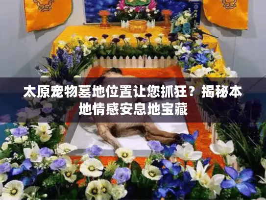 太原宠物墓地位置让您抓狂?揭秘本地情感安息地宝藏 太原宠物墓地位置让您抓狂?揭秘本地情感安息地宝藏
