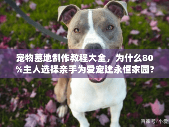 宠物墓地制作教程大全，为什么80%主人选择亲手为爱宠建永恒家园？