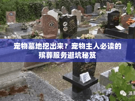 宠物墓地挖出来？宠物主人必读的殡葬服务避坑秘笈