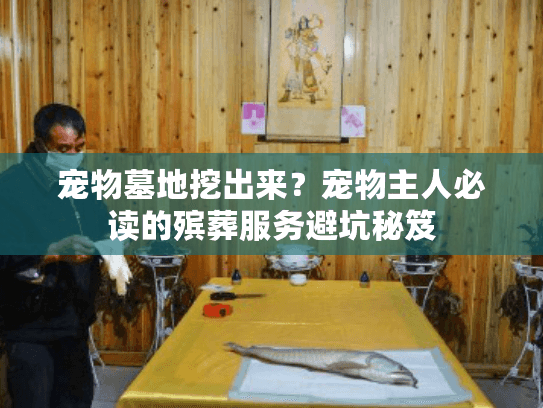 宠物墓地挖出来？宠物主人必读的殡葬服务避坑秘笈