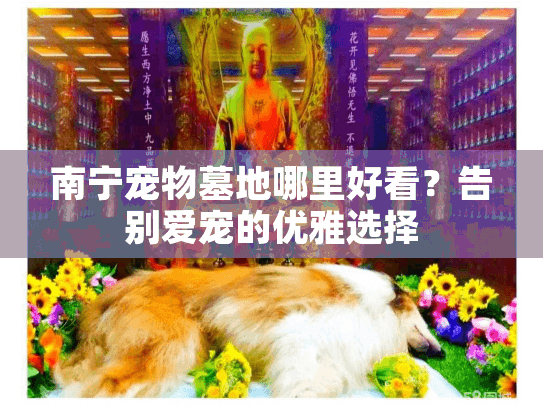 南宁宠物墓地哪里好看?告别爱宠的优雅选择 南宁宠物墓地哪里好看?告别爱宠的优雅选择