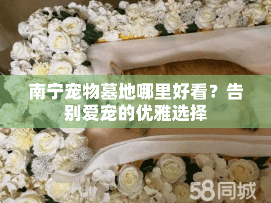 南宁宠物墓地哪里好看?告别爱宠的优雅选择 南宁宠物墓地哪里好看?告别爱宠的优雅选择