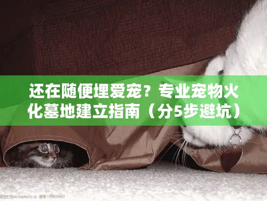 还在随便埋爱宠？专业宠物火化墓地建立指南（分5步避坑）
