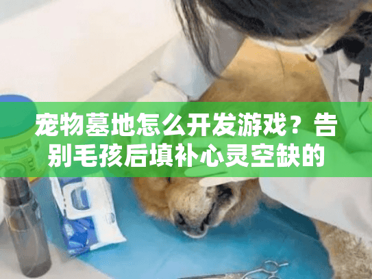 宠物墓地怎么开发游戏？告别毛孩后填补心灵空缺的智能慰藉