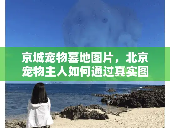 京城宠物墓地图片,北京宠物主人如何通过真实图片避免高价陷阱?亲测防坑攻略 京城宠物墓地图片,北京宠物主人如何通过真实图片避免高价陷阱?亲测防坑攻略