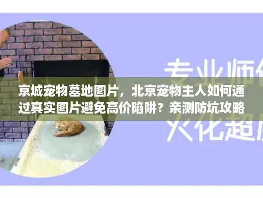 京城宠物墓地图片,北京宠物主人如何通过真实图片避免高价陷阱?亲测防坑攻略 京城宠物墓地图片,北京宠物主人如何通过真实图片避免高价陷阱?亲测防坑攻略