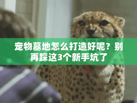 宠物墓地怎么打造好呢？别再踩这3个新手坑了