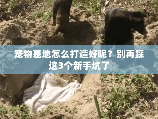 宠物墓地怎么打造好呢？别再踩这3个新手坑了