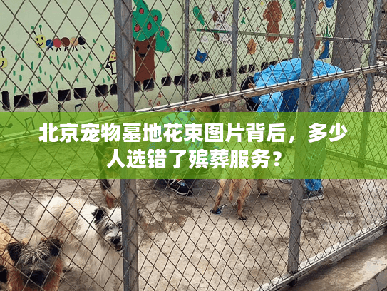 北京宠物墓地花束图片背后,多少人选错了殡葬服务? 北京宠物墓地花束图片背后,多少人选错了殡葬服务?