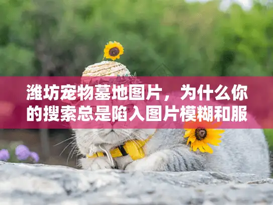 潍坊宠物墓地图片,为什么你的搜索总是陷入图片模糊和服务混乱的困境? 潍坊宠物墓地图片,为什么你的搜索总是陷入图片模糊和服务混乱的困境?