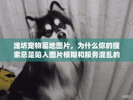 潍坊宠物墓地图片,为什么你的搜索总是陷入图片模糊和服务混乱的困境? 潍坊宠物墓地图片,为什么你的搜索总是陷入图片模糊和服务混乱的困境?