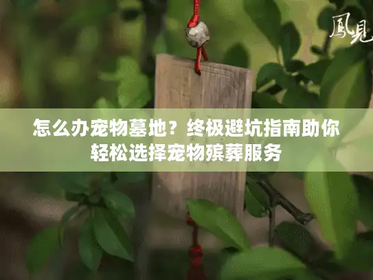 怎么办宠物墓地？终极避坑指南助你轻松选择宠物殡葬服务