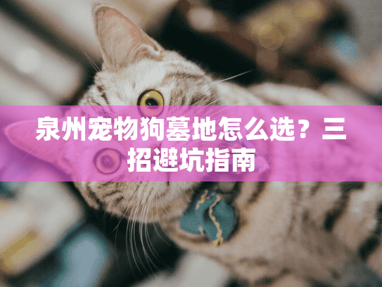 泉州宠物狗墓地怎么选？三招避坑指南