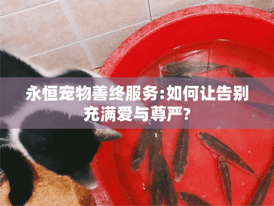 永恒宠物善终服务:如何让告别充满爱与尊严? 永恒宠物善终服务:如何让告别充满爱与尊严?