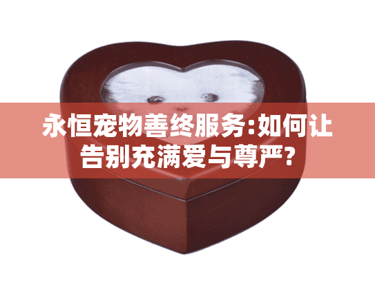 永恒宠物善终服务:如何让告别充满爱与尊严? 永恒宠物善终服务:如何让告别充满爱与尊严?