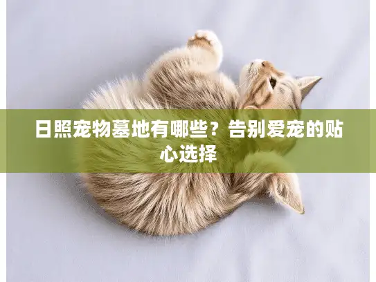 日照宠物墓地有哪些？告别爱宠的贴心选择