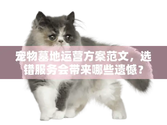 宠物墓地运营方案范文，选错服务会带来哪些遗憾？