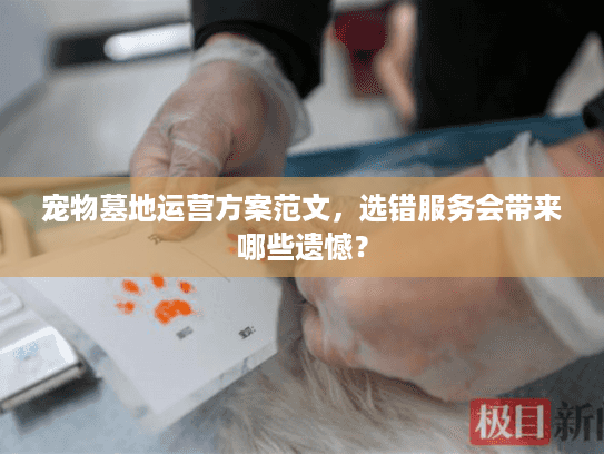 宠物墓地运营方案范文，选错服务会带来哪些遗憾？