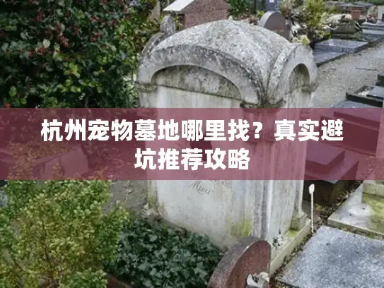 杭州宠物墓地哪里找？真实避坑推荐攻略