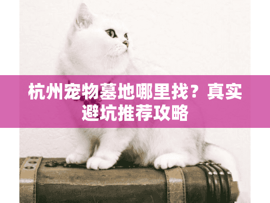 杭州宠物墓地哪里找？真实避坑推荐攻略