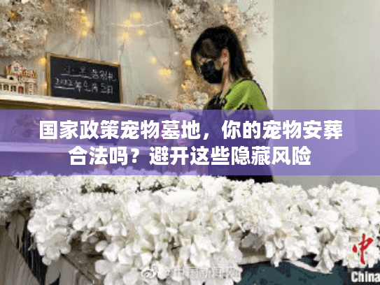 国家政策宠物墓地，你的宠物安葬合法吗？避开这些隐藏风险