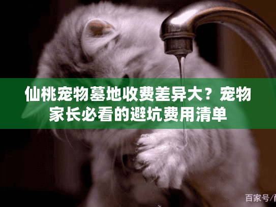 仙桃宠物墓地收费差异大？宠物家长必看的避坑费用清单