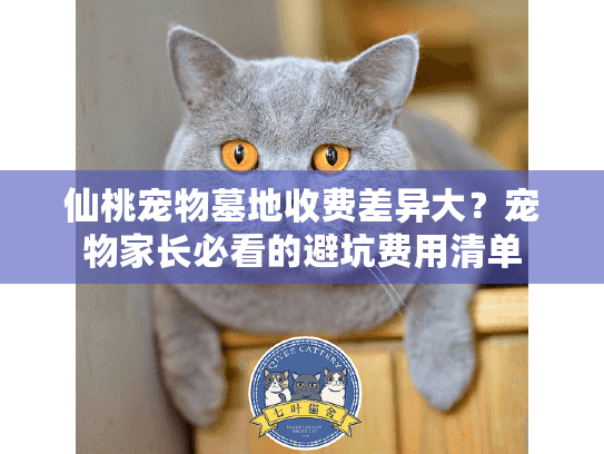 仙桃宠物墓地收费差异大？宠物家长必看的避坑费用清单