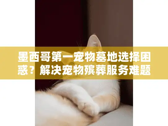 墨西哥第一宠物墓地选择困惑？解决宠物殡葬服务难题的实用方案